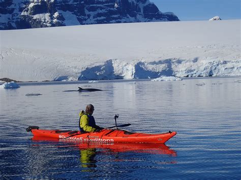 antarctica 21 kayaking